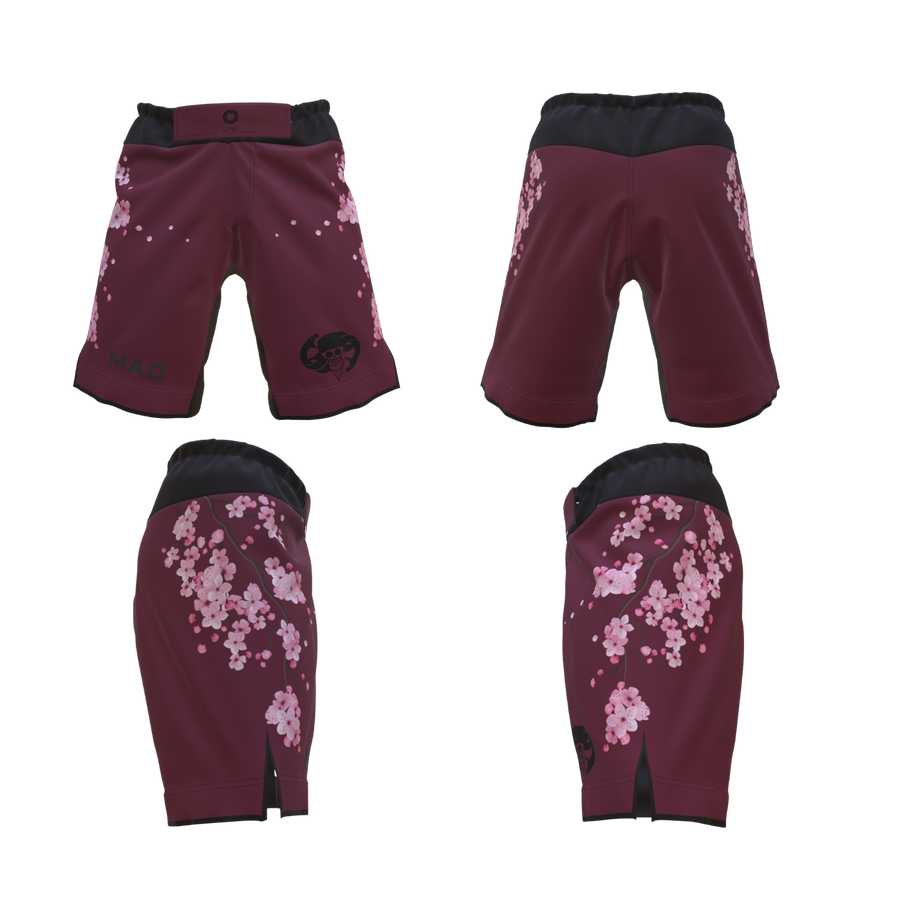 Shorts Discipline (Limited edition)